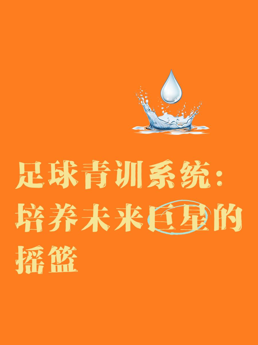 leyu乐鱼体育综合-关于数字青训体系创新应用，个性化培养青少年未来潜力的信息