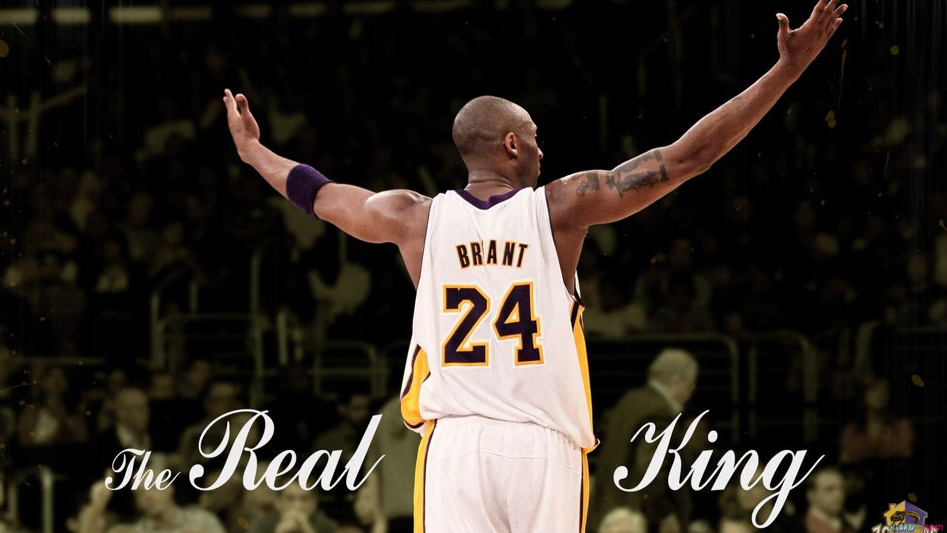 _全民冲刺：大型城市短跑挑战赛火热开启_，短跑决赛视频