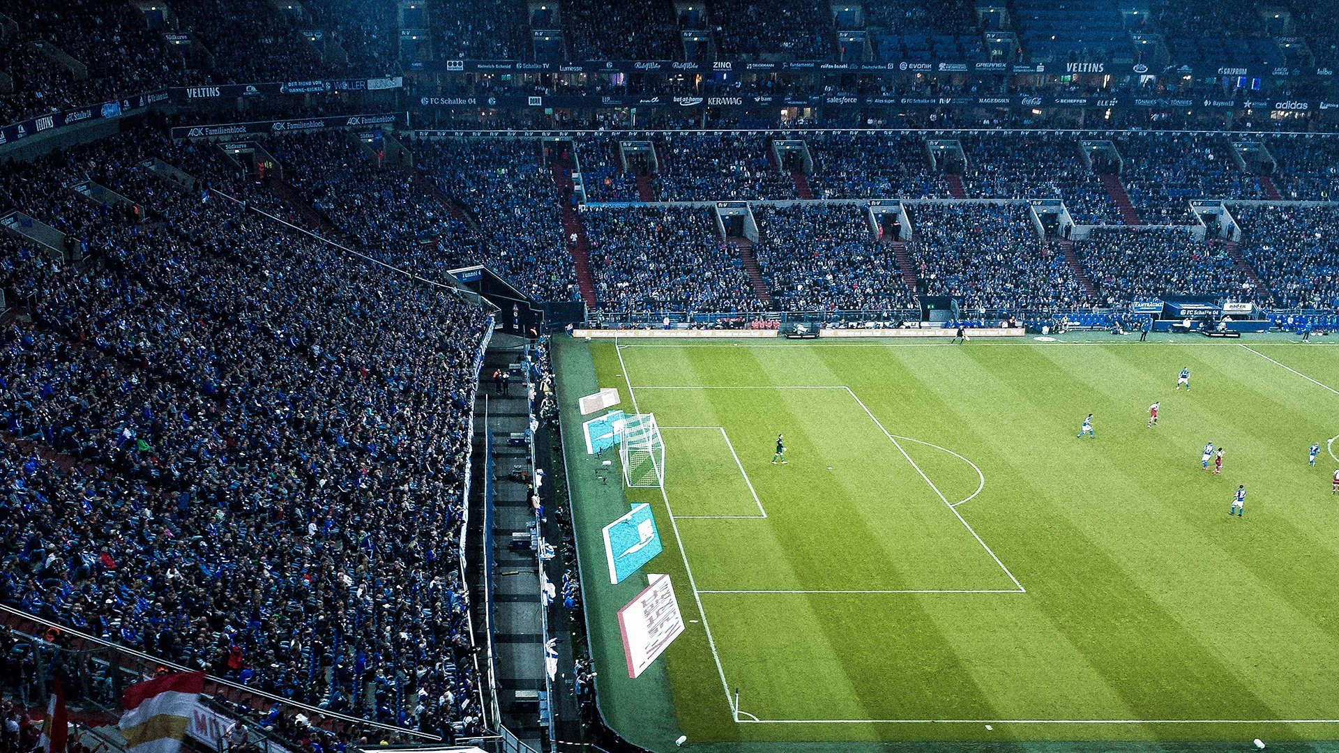 Leyu Sports (乐鱼体育)-《Rookie：稳步前行，以实力登顶》