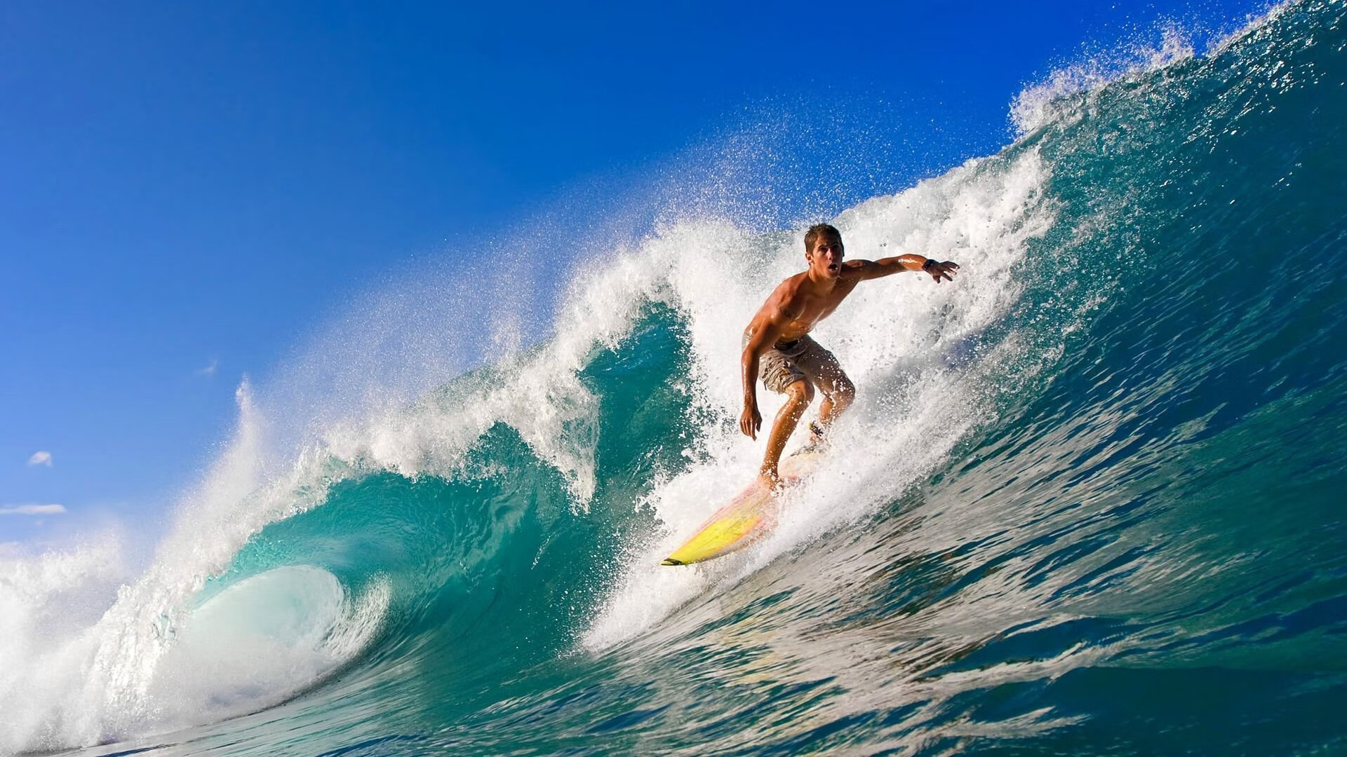 史上最“炸裂”盖帽瞬间，谁是你的“封堵之王”？，封盖和盖帽